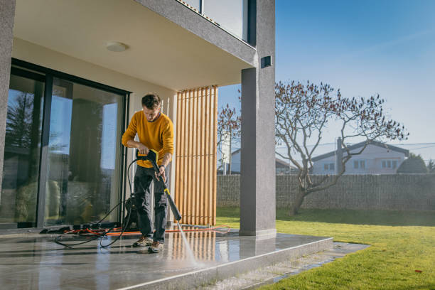 Best Roof Washing  in Clarence, IA